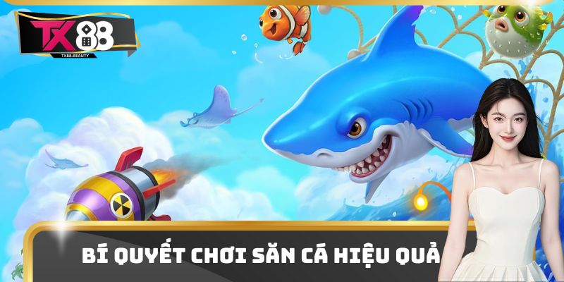 Bí quyết chơi săn cá hiệu quả