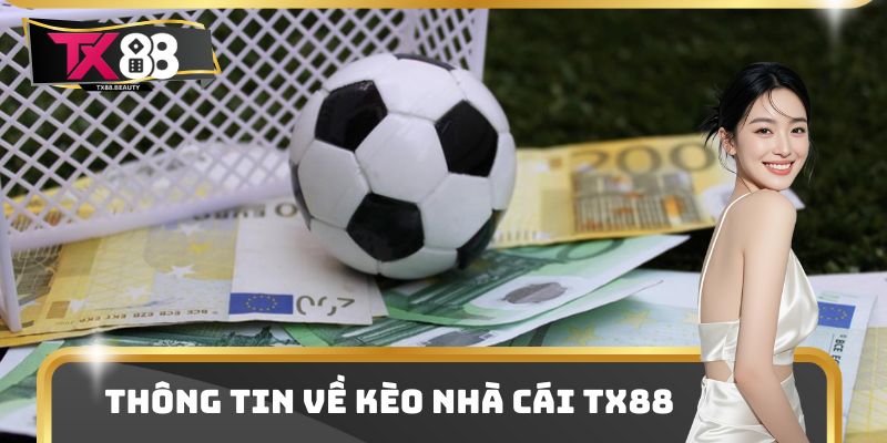 Một số thông tin cơ bản về kèo nhà cái TX88